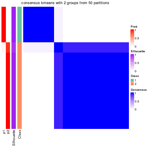 plot of chunk tab-node-01132-consensus-heatmap-1