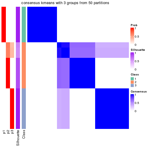 plot of chunk tab-node-01132-consensus-heatmap-2