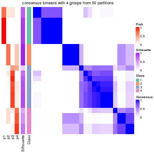 plot of chunk tab-node-01132-consensus-heatmap-3