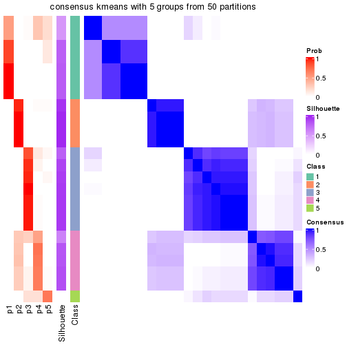 plot of chunk tab-node-01132-consensus-heatmap-4