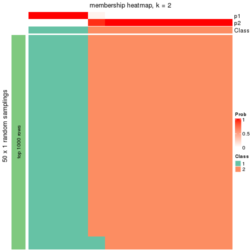 plot of chunk tab-node-01132-membership-heatmap-1