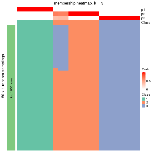 plot of chunk tab-node-01132-membership-heatmap-2