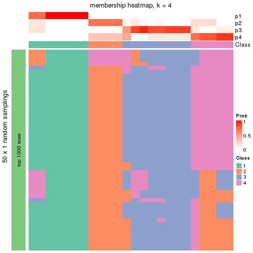 plot of chunk tab-node-01132-membership-heatmap-3