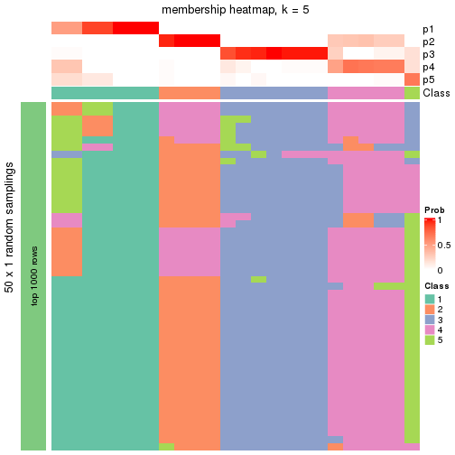 plot of chunk tab-node-01132-membership-heatmap-4