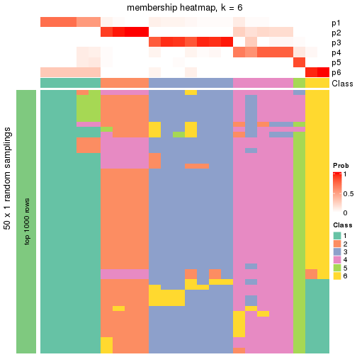 plot of chunk tab-node-01132-membership-heatmap-5