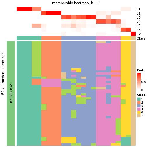 plot of chunk tab-node-01132-membership-heatmap-6