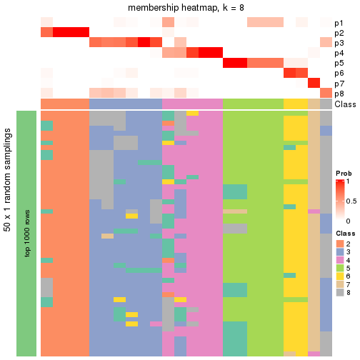 plot of chunk tab-node-01132-membership-heatmap-7