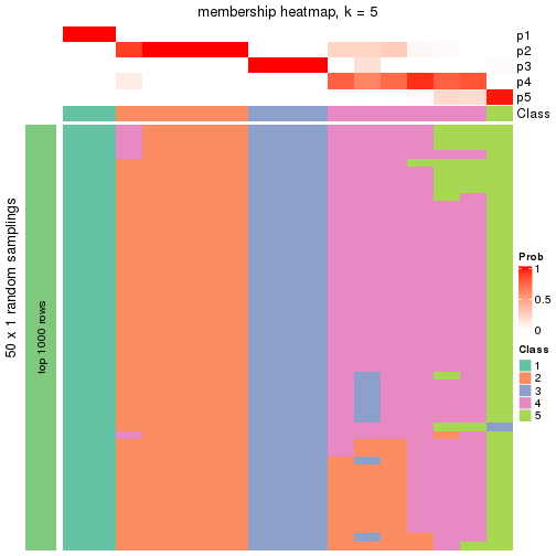 plot of chunk tab-node-011322-membership-heatmap-4