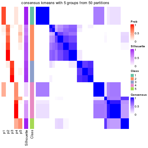 plot of chunk tab-node-012-consensus-heatmap-4