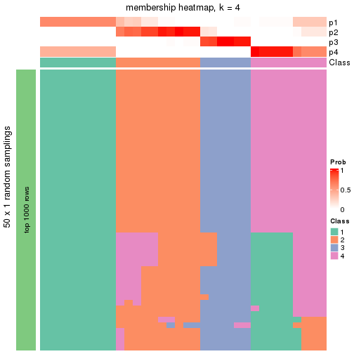 plot of chunk tab-node-012-membership-heatmap-3