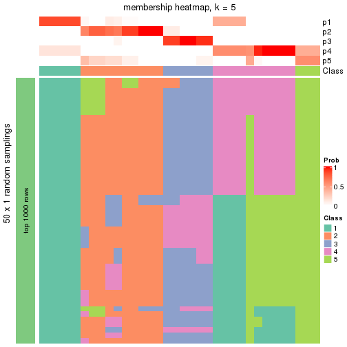 plot of chunk tab-node-012-membership-heatmap-4