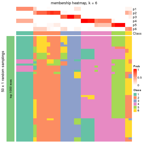 plot of chunk tab-node-012-membership-heatmap-5