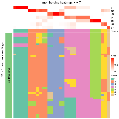 plot of chunk tab-node-012-membership-heatmap-6