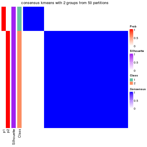 plot of chunk tab-node-0121-consensus-heatmap-1