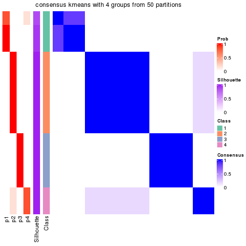 plot of chunk tab-node-0121-consensus-heatmap-3