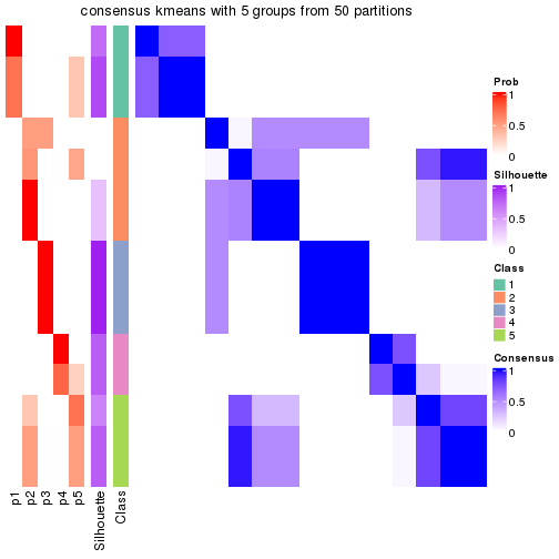 plot of chunk tab-node-0121-consensus-heatmap-4