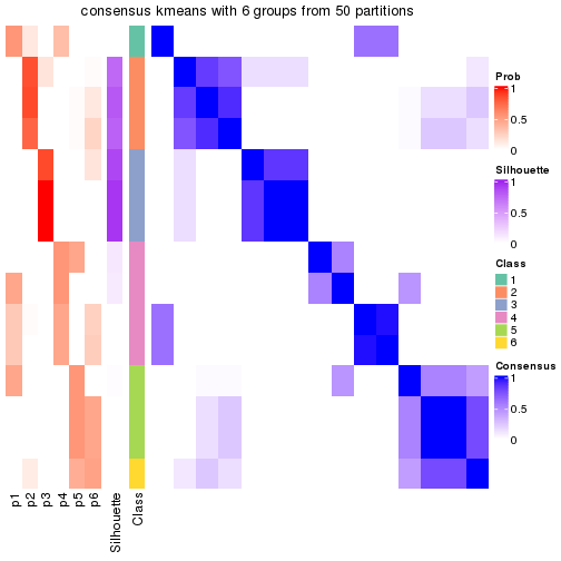 plot of chunk tab-node-0121-consensus-heatmap-5