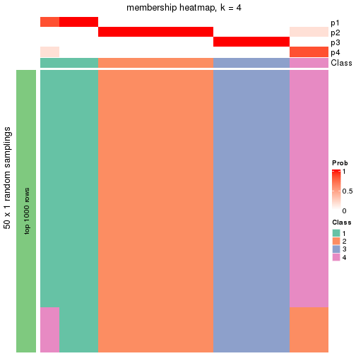 plot of chunk tab-node-0121-membership-heatmap-3