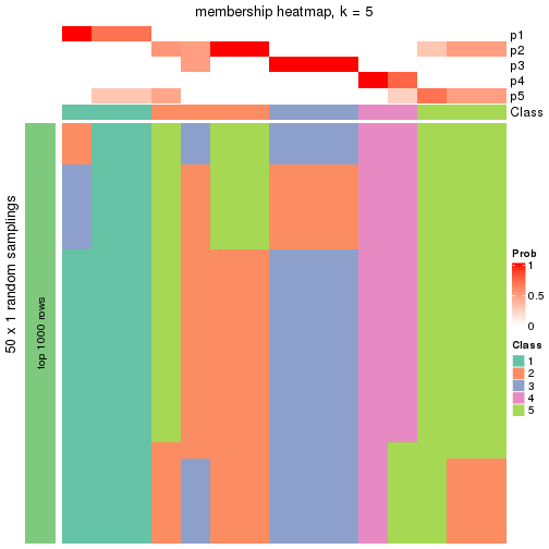 plot of chunk tab-node-0121-membership-heatmap-4