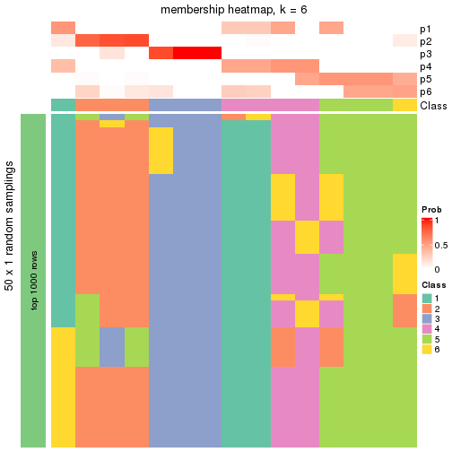 plot of chunk tab-node-0121-membership-heatmap-5