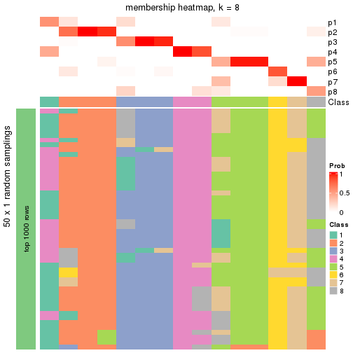 plot of chunk tab-node-0121-membership-heatmap-7