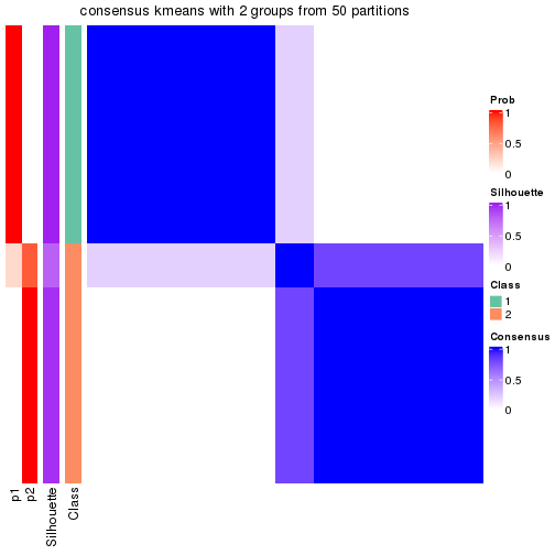 plot of chunk tab-node-013-consensus-heatmap-1