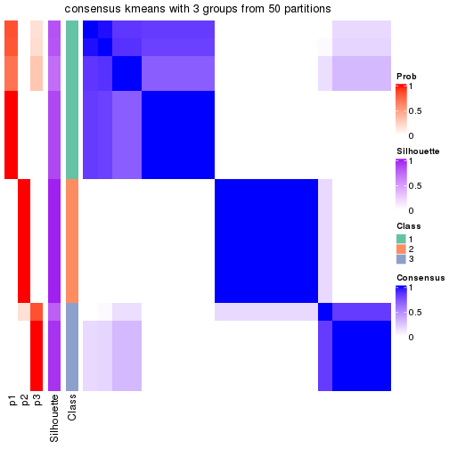 plot of chunk tab-node-013-consensus-heatmap-2