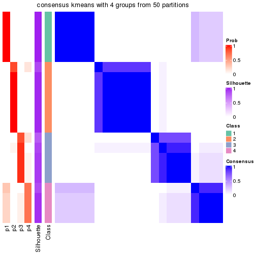 plot of chunk tab-node-013-consensus-heatmap-3