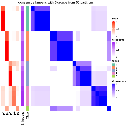 plot of chunk tab-node-013-consensus-heatmap-4