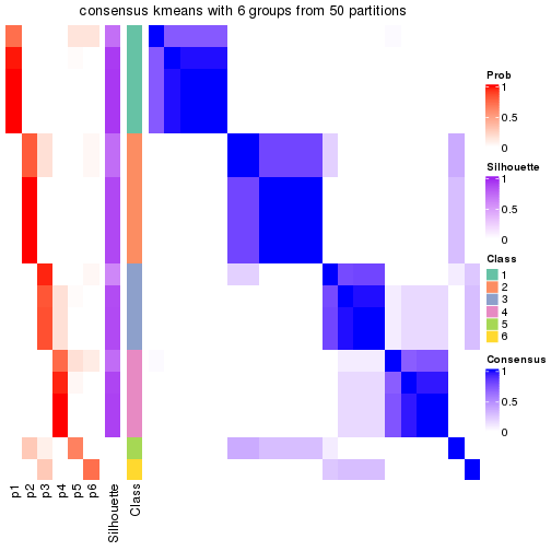 plot of chunk tab-node-013-consensus-heatmap-5