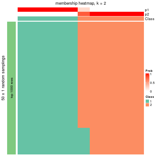 plot of chunk tab-node-013-membership-heatmap-1