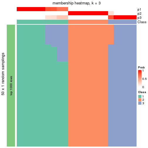 plot of chunk tab-node-013-membership-heatmap-2