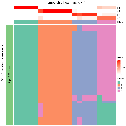 plot of chunk tab-node-013-membership-heatmap-3