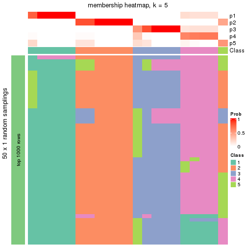 plot of chunk tab-node-013-membership-heatmap-4