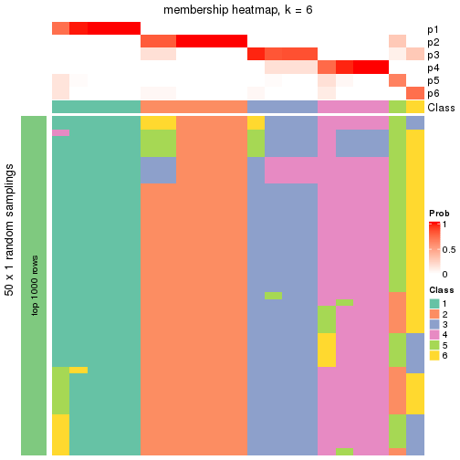 plot of chunk tab-node-013-membership-heatmap-5