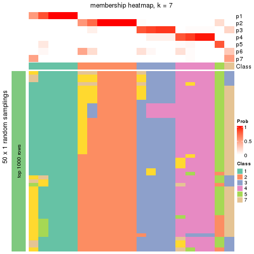 plot of chunk tab-node-013-membership-heatmap-6