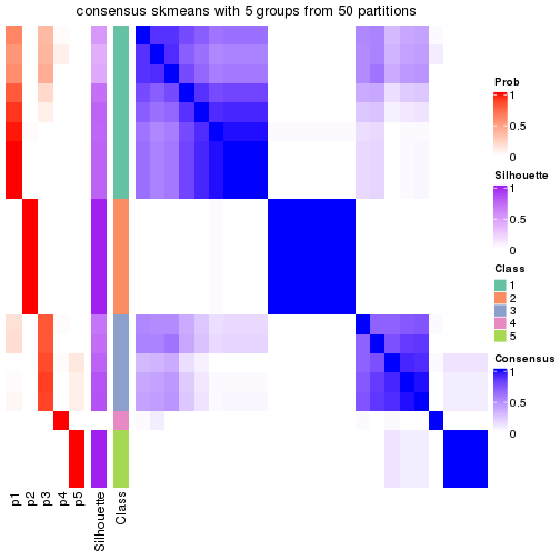 plot of chunk tab-node-014-consensus-heatmap-4