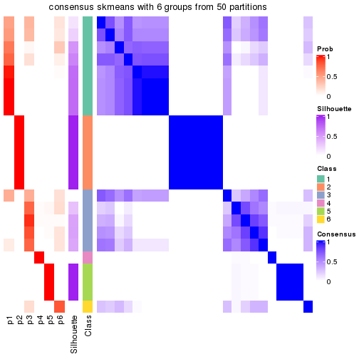 plot of chunk tab-node-014-consensus-heatmap-5