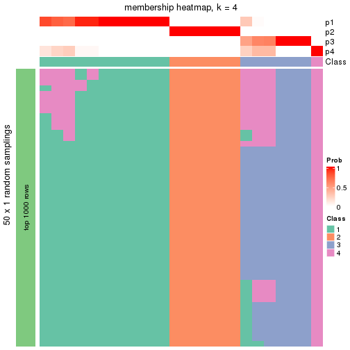 plot of chunk tab-node-014-membership-heatmap-3