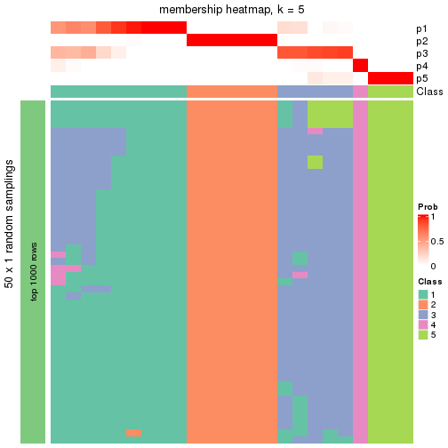 plot of chunk tab-node-014-membership-heatmap-4