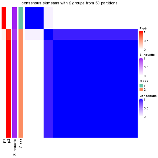 plot of chunk tab-node-0141-consensus-heatmap-1