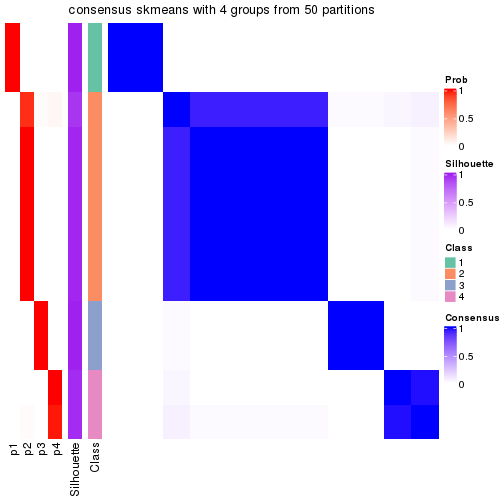 plot of chunk tab-node-0141-consensus-heatmap-3