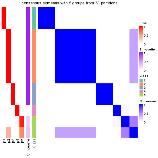 plot of chunk tab-node-0141-consensus-heatmap-4