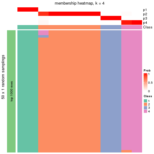 plot of chunk tab-node-0141-membership-heatmap-3