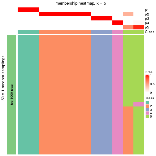 plot of chunk tab-node-0141-membership-heatmap-4