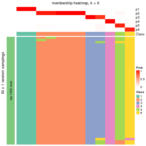 plot of chunk tab-node-0141-membership-heatmap-5