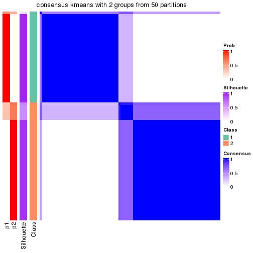 plot of chunk tab-node-02-consensus-heatmap-1