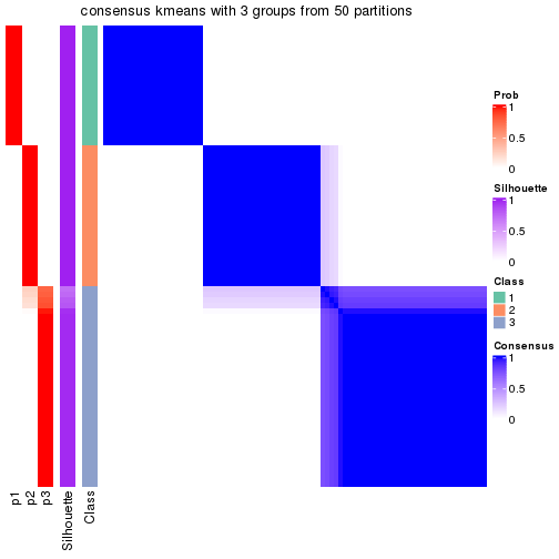 plot of chunk tab-node-02-consensus-heatmap-2