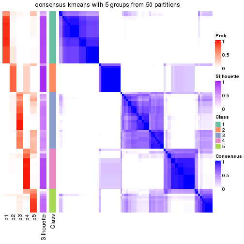 plot of chunk tab-node-02-consensus-heatmap-4