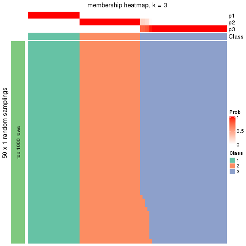 plot of chunk tab-node-02-membership-heatmap-2